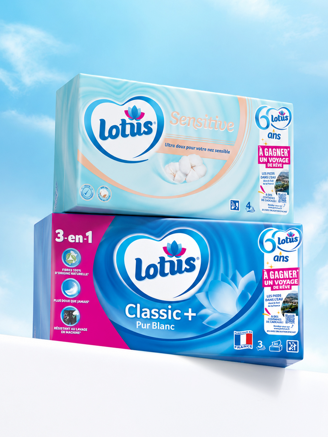 Lotus – 60 ans, visuel 7