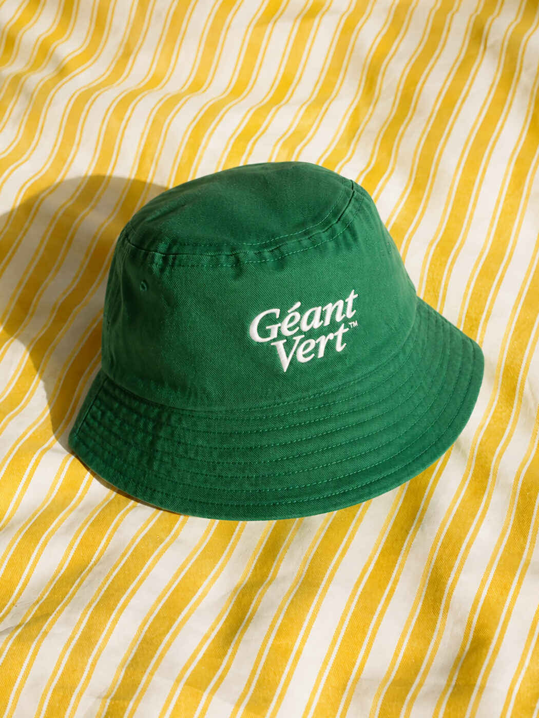 Géant Vert – 100 ans, visuel 2