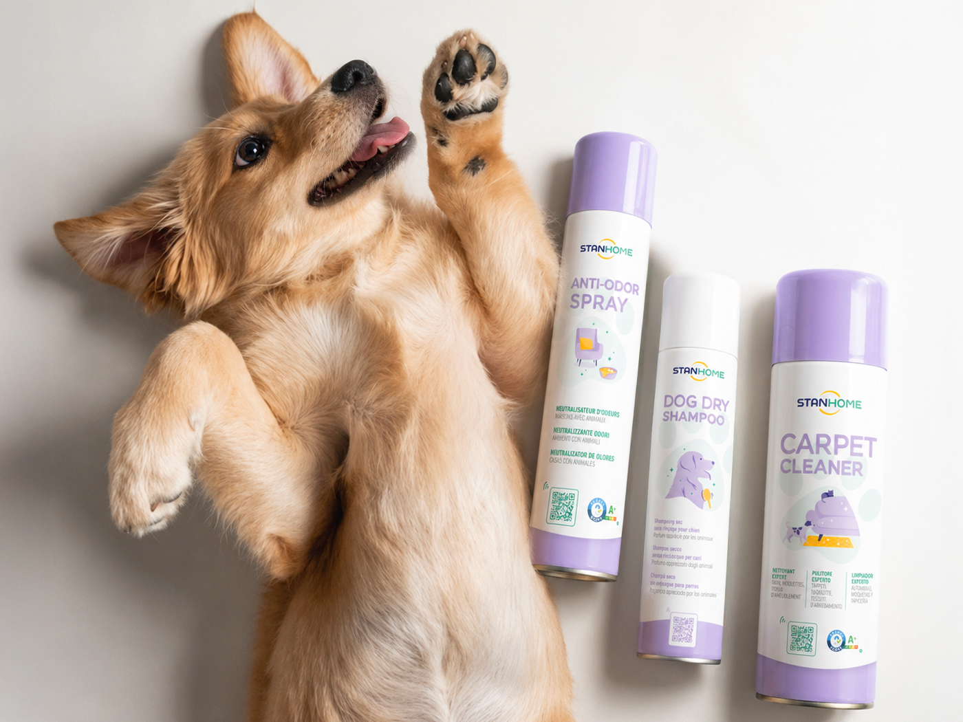 Trois aérosols Stanhome Pets — Anti-Odor Spray, Dog Dry Shampoo et Carpet Cleaner — près d'un chien couché